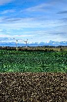 Illustration - Lauragais landscapes