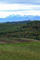 Illustration - Lauragais landscapes