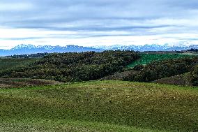 Illustration - Lauragais landscapes