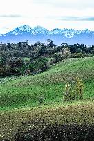 Illustration - Lauragais landscapes