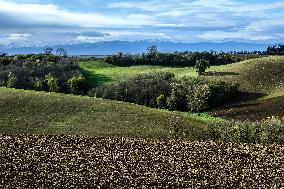 Illustration - Lauragais landscapes