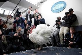 Donald Trump welcomes Christmas Tree - Washington