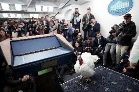 Donald Trump welcomes Christmas Tree - Washington