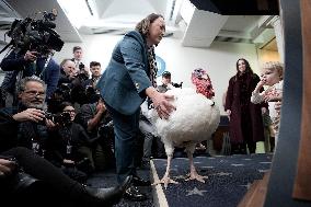 Donald Trump welcomes Christmas Tree - Washington