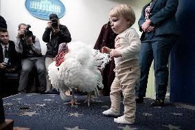 Donald Trump welcomes Christmas Tree - Washington
