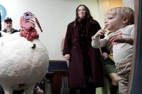 Donald Trump welcomes Christmas Tree - Washington