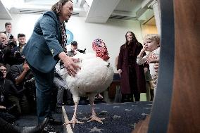 Donald Trump welcomes Christmas Tree - Washington