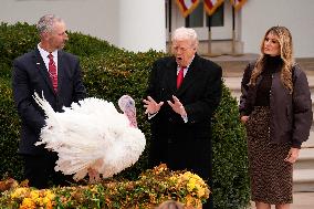 Donald Trump pardons Thanksgiving Turkeys - Washington