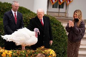 Donald Trump pardons Thanksgiving Turkeys - Washington