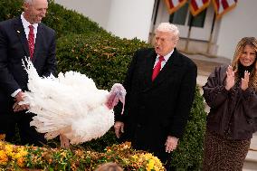 Donald Trump pardons Thanksgiving Turkeys - Washington