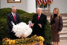 Donald Trump pardons Thanksgiving Turkeys - Washington