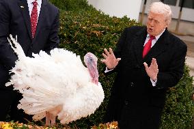 Donald Trump pardons Thanksgiving Turkeys - Washington