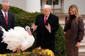 Donald Trump pardons Thanksgiving Turkeys - Washington