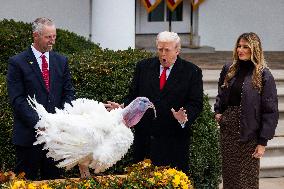 President Trump pardons turkey in the Rose Garden of the White House