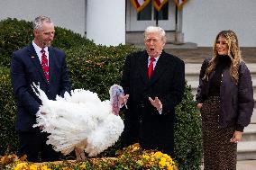 President Trump pardons turkey in the Rose Garden of the White House