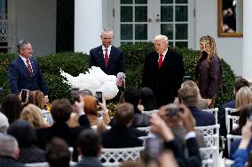 Daily White House Coverage