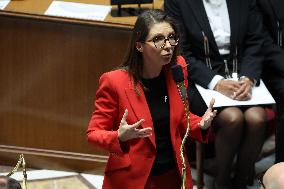 Session of Questions to the Government in National Assembly - Paris