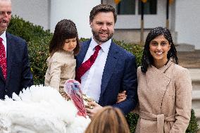 President Trump pardons turkey in the Rose Garden of the White House