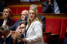 Session of Questions to the Government at the National Assembly - Paris AJ