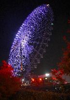 20 rescued from giant Ferris wheel in Osaka Pref.