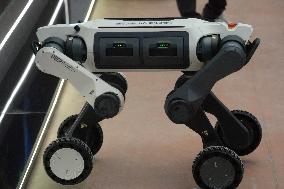 Adopt AI International Summit Held In Paris - France