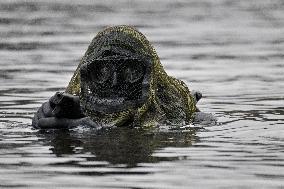 River Shadows 25 Military Exercise - Bitche