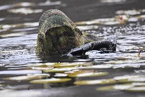 River Shadows 25 Military Exercise - Bitche