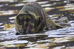 River Shadows 25 Military Exercise - Bitche