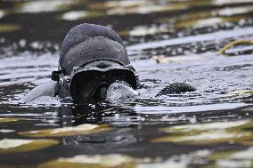 River Shadows 25 Military Exercise - Bitche