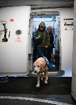 Training Assistance Dogs on Board an Aeroplane - Vancouver