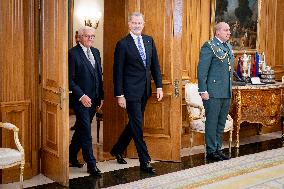King Felipe Meets With German President Steinmeier - Madrid