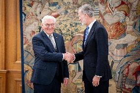 King Felipe Meets With German President Steinmeier - Madrid