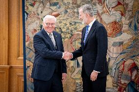 King Felipe Meets With German President Steinmeier - Madrid