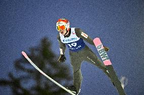 SKI JUMPING WORLD CUP LARGE HILL