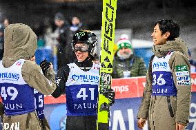 SKI JUMPING WORLD CUP LARGE HILL