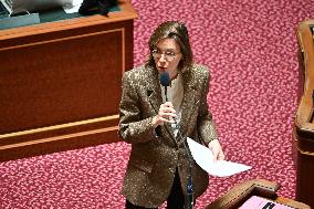 Vote Of the Social Security Finance Bill - PLFSS - Paris