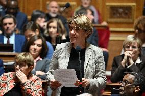 Questions To Government At The Senate - Paris