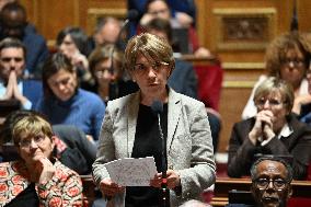 Questions To Government At The Senate - Paris