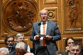 Questions To Government At The Senate - Paris