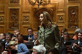 Questions To Government At The Senate - Paris