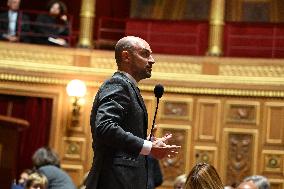 Questions To Government At The Senate - Paris