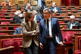 Questions To Government At The Senate - Paris