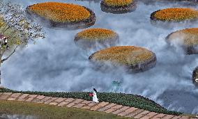 Flowers At The Qingxiu Mountain Scenic Area - China