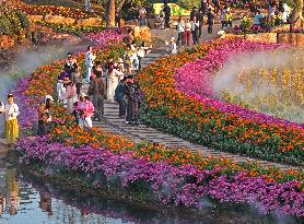 Flowers At The Qingxiu Mountain Scenic Area - China