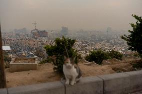 Air Pollution in Tehran