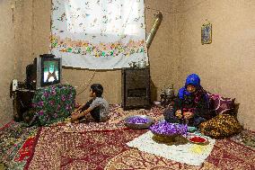Saffron Harvesting in The Village of Vamenan - Iran