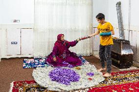 Saffron Harvesting in The Village of Vamenan - Iran