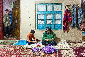 Saffron Harvesting in The Village of Vamenan - Iran