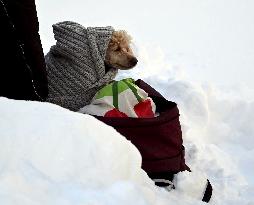 FIS World Cup Ruka Nordic 2025