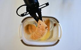 Intelligent Robot Industry - China